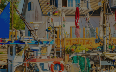 Choosing the right guesthouse